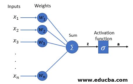 Perceptron Learning Algorithm | Guide to Perceptron Learning Algorithm