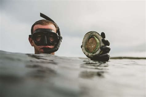 Abalone diving, King Island | King Island Tourism