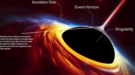 Black Hole Singularity Theory