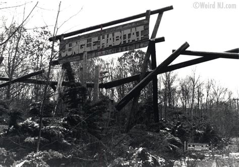 Jungle Habitat: Wild, Free and Abandoned