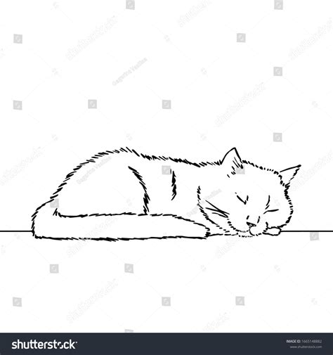 Sleeping Cat Line Drawing Images: Browse 4,611 Stock Photos & Vectors ...