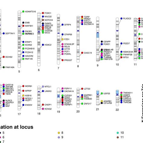 De novo variants Chromosomal localization of de novo TR mutations ...