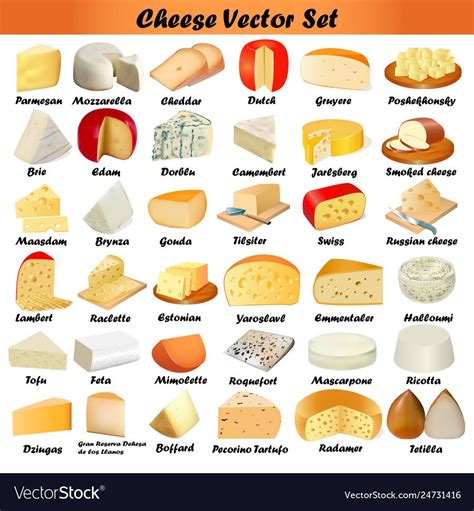 Types Of Cheese | Media Recipe