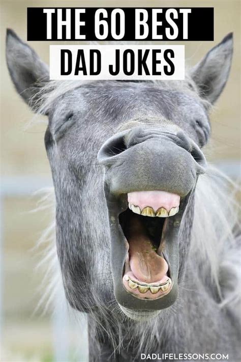 60 Best Dad Jokes - So Funny Even the Wife will Laugh! - Dad Life Lessons