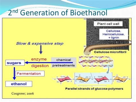 Bioethanol Production