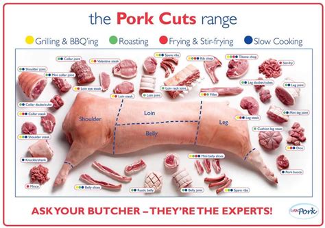 Pork Cuts Pig Diagram Poster High Quality Canvas Oil Painting Wall Art ...