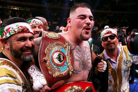 Full list of boxing world champions 2019: Every division title holder from heavyweight to ...