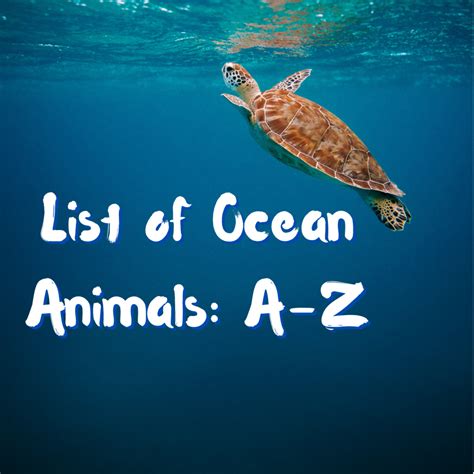 List of Ocean Animals: A Through Z - Owlcation