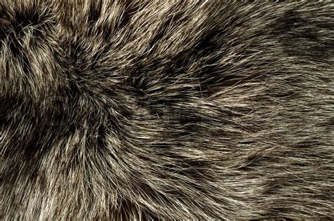 Closeup of polar Fox fur | Stock image | Colourbox