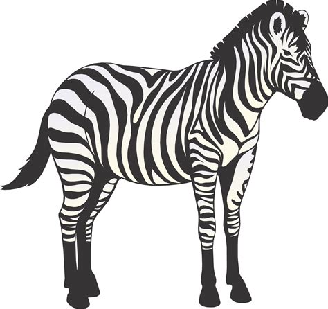 Cartoon Zebra - Cliparts.co