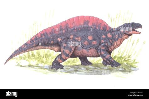 Palaeozoology - Triassic period - Dinosaurs - Lotosaurus - Art work by Graham Rosewarne Stock ...