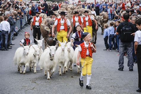 Switzerland Culture And Traditions