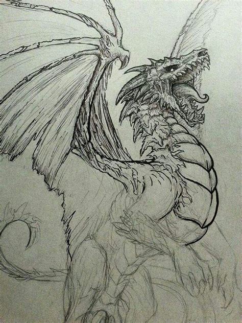 Dragon Drawing - 75 Picture Ideas | Cool dragon drawings, Dragon sketch, Dragon art