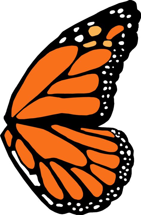 1024 X 583 8 Butterfly Wings Transparent Background Clipart Large ...