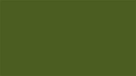 3840x2160 Dark Moss Green Solid Color Background