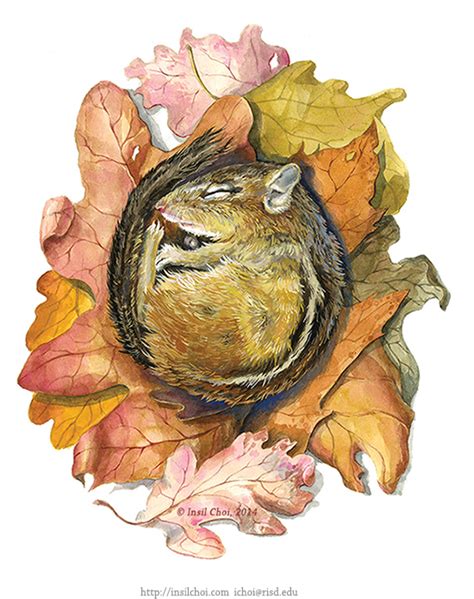 Hibernation : Chipmunk on Behance