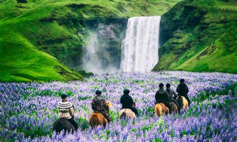 The Ultimate Guide to Horse Riding in Iceland