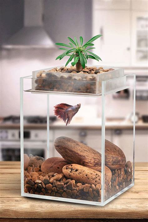 Small Fish Tank Decorations Mini Fish Tank Small Aquarium With Led For Desktop Decor White-in ...