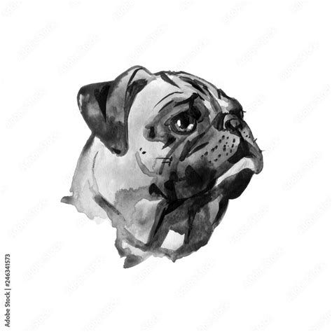 Watercolor Dog Pug Portrait - Hand Painted Illustration of Pets Stock Illustration | Adobe Stock