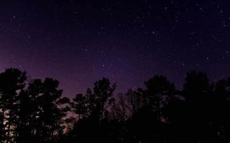 stars, Night, Landscape, Starry Night, Trees, Long Exposure Wallpapers ...