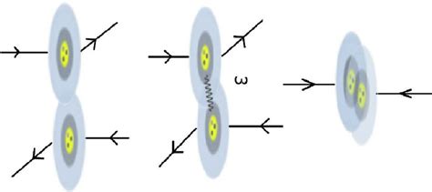 Elastic scattering processes (from left to right): | Download Scientific Diagram