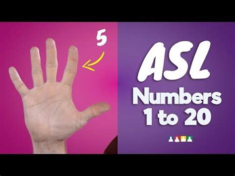 Asl Letters, Sign Language Letters, Asl Lessons, Counting To 20 ...