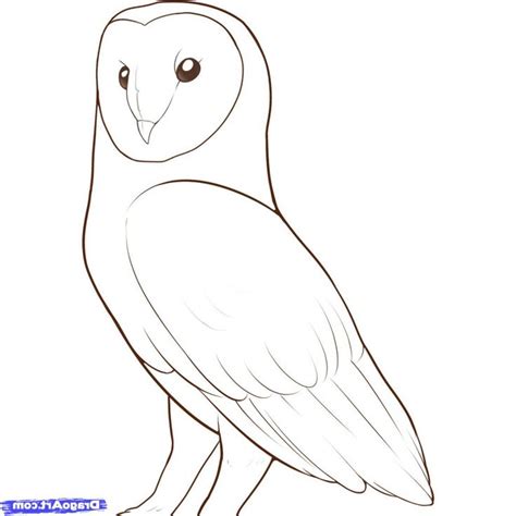 25+ best Owl drawings ideas on Pinterest | Owl sketch, Animal drawings and Cool art drawings