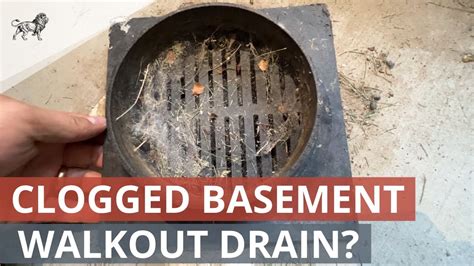 Basement Walkout Drain Clogged? [Maintenance Checklist] - YouTube