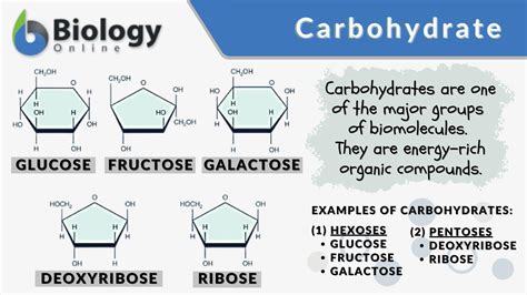 Carbohydrates Definition Examples Structure Types And Functions | The Best Porn Website