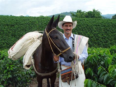 Juan Valdez Cafés | Specialty Colombian Coffee News