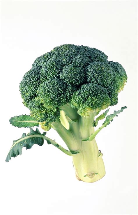 Broccoli & High Calcium Foods | Livestrong.com