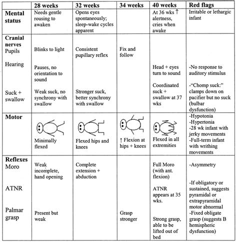 Neurological Exam Template