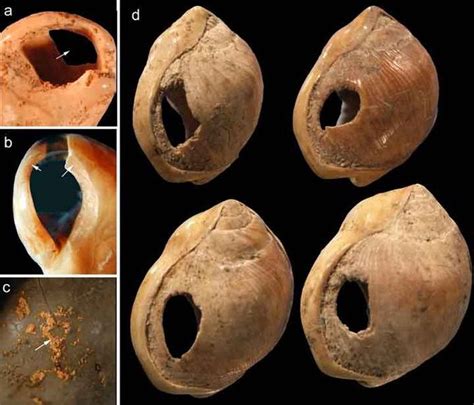 Paleolithic Age Artifacts