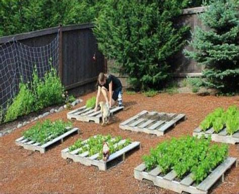 Pallet Vegetable Garden Ideas - Bois Bassdona