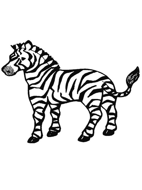 Free Printable Zebra Coloring Pages For Kids