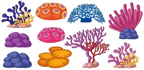 clipart coral reefs 10 free Cliparts | Download images on Clipground 2024