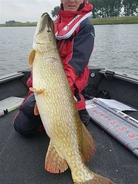 7 Biggest Northern Pike in the World – Strike and Catch