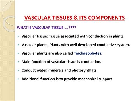 SOLUTION: VASCULAR TISSUES (XYLEM) IN PLANTS ITS COMPONENTS AND TRACHEIDS STRUCTURE &FUNCTIONS ...