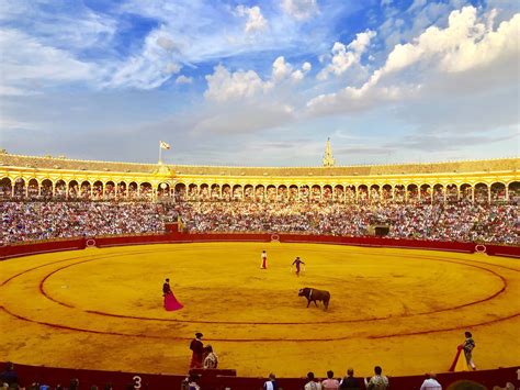 Plaza de toros “Real Maestranza” de Sevilla | Plaza de toros, La maestranza sevilla, Toros