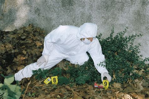 Forensics officer at a crime scene - Stock Image - H200/0425 - Science ...