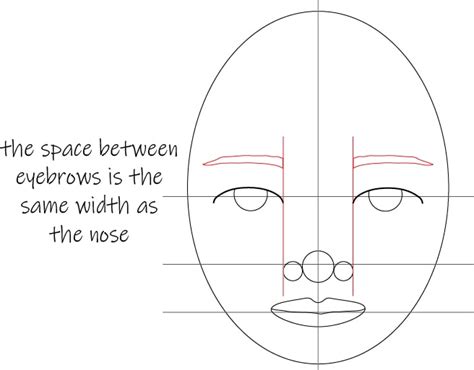 9 Steps to Mastering Female Face Proportions: Easy Tutorial for Beginners - Artful Haven