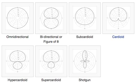 Bidirectional Polar Pattern