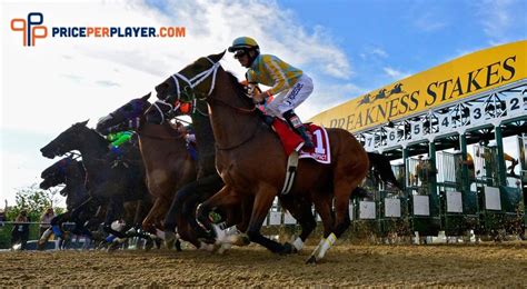 2023 Preakness Stakes Update - The official PricePerPlayer.com blog