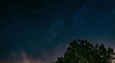 3840x21602019728 starry sky, tree, night 3840x21602019728 Resolution Wallpaper, HD Nature 4K ...