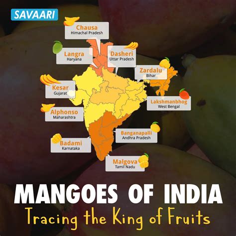 Mangoes of India - Tracing the king of fruits