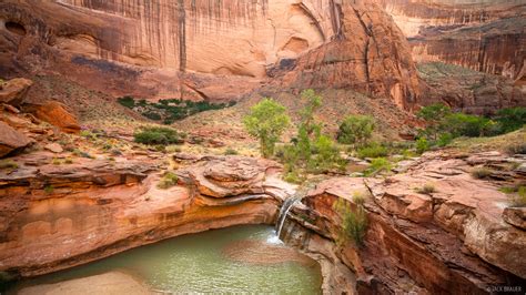 Sandstone Oasis | Glen Canyon National Recreation Area, Utah | Mountain Photography by Jack Brauer