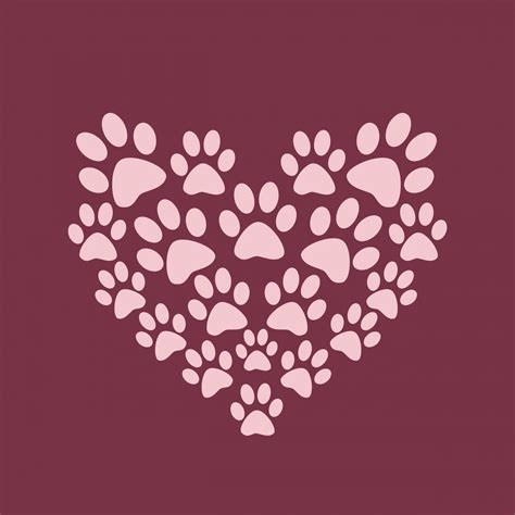 Dog Paws Wallpaper (41+ images)