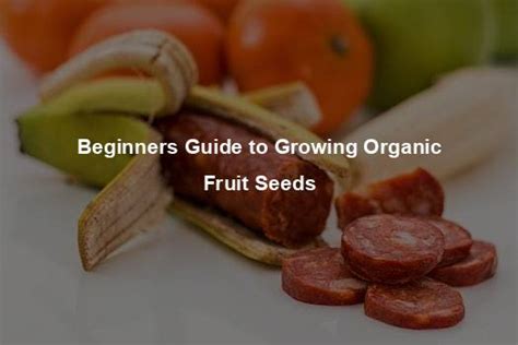 Beginners Guide to Growing Organic Fruit Seeds - Organic Seed Finder