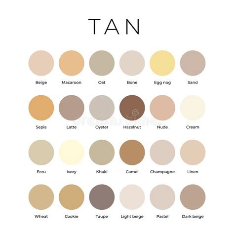 Tan Beige Color Shades Swatches Palette with Names Stock Vector - Illustration of samples ...