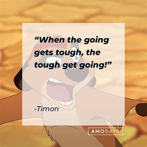 35 Timon Quotes on His Laidback Views Complete with Some Wisecracks